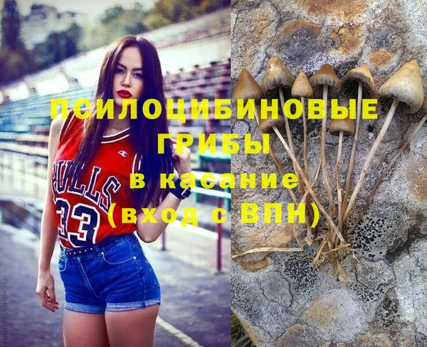 прущая мука Алзамай