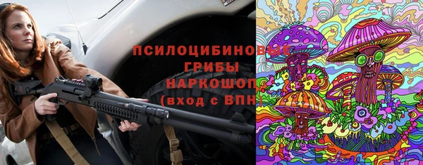 гидра Алексеевка