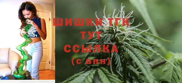 гидра Алексеевка