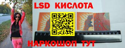 a pvp Владимир