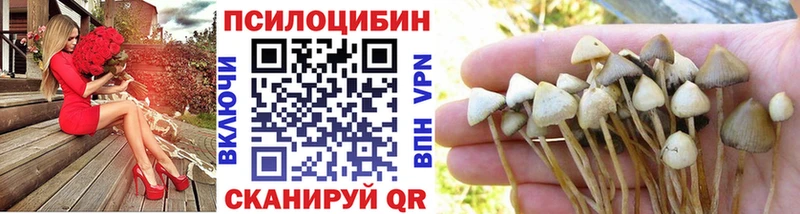 Галлюциногенные грибы Psilocybe omg сайт Бахчисарай