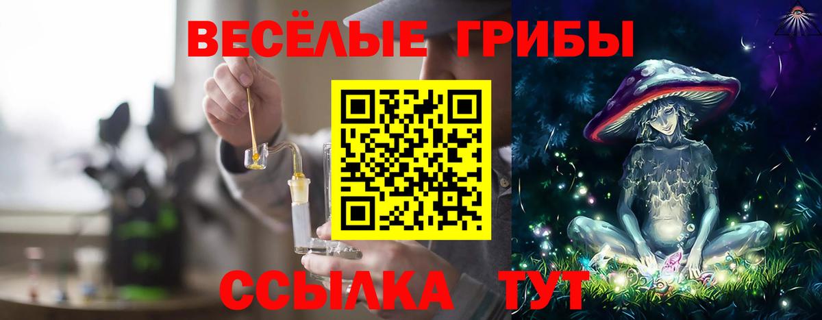 Псилоцибиновые грибы MAGIC MUSHROOMS Бахчисарай